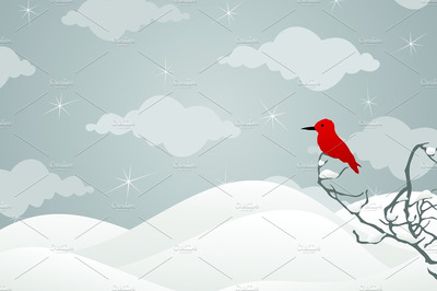 红腹灰雀插画 Bullfinch