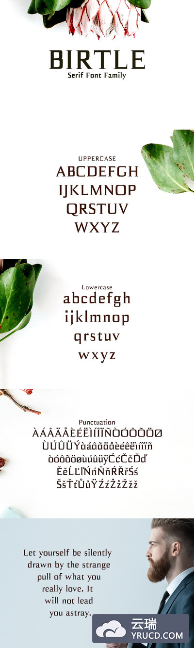 优雅设计字体 Birtle Serif 3 Font Family Pack