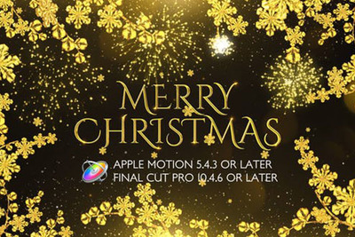 圣诞节日祝福金色雪花枝叶特效视频Motion模板