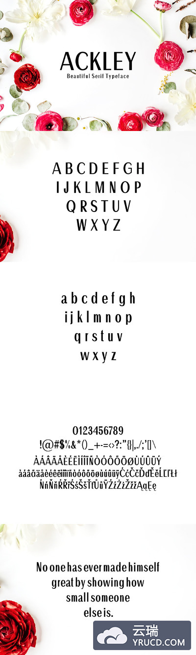优雅品牌设计字体 Ackley Sans Serif 7 Font Family