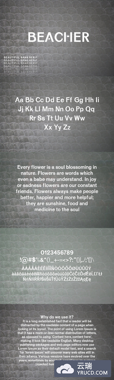 高端时尚字体 Beacher Sans Serif 6 Font Family