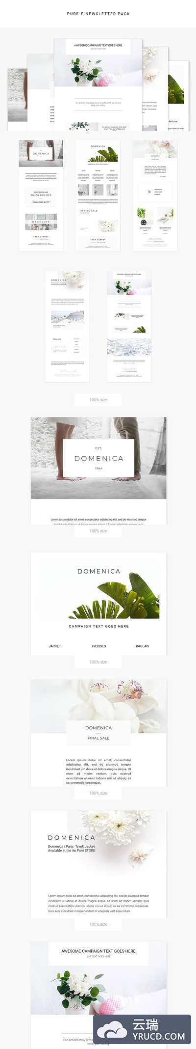 纯粹优雅的广告模板 Pure E-newsletter Pack