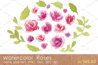 水彩玫瑰插画 Watercolor Roses