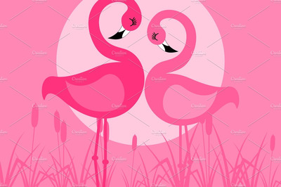 火烈鸟矢量插画 Flamingo