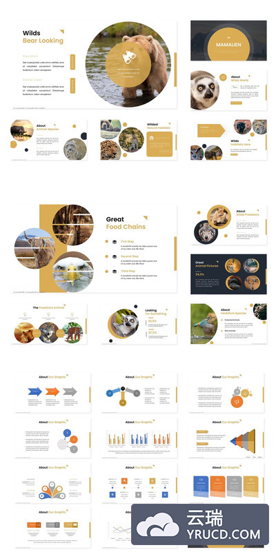 优雅时尚的PPT模板下载[PPTX]