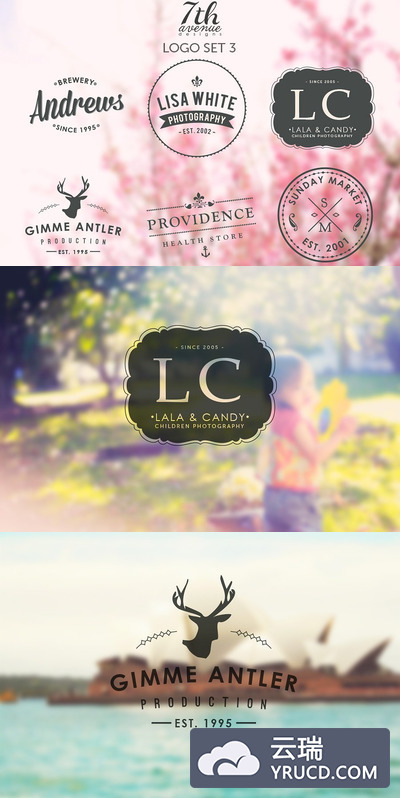 复古logo设计模板 Logo Set 3