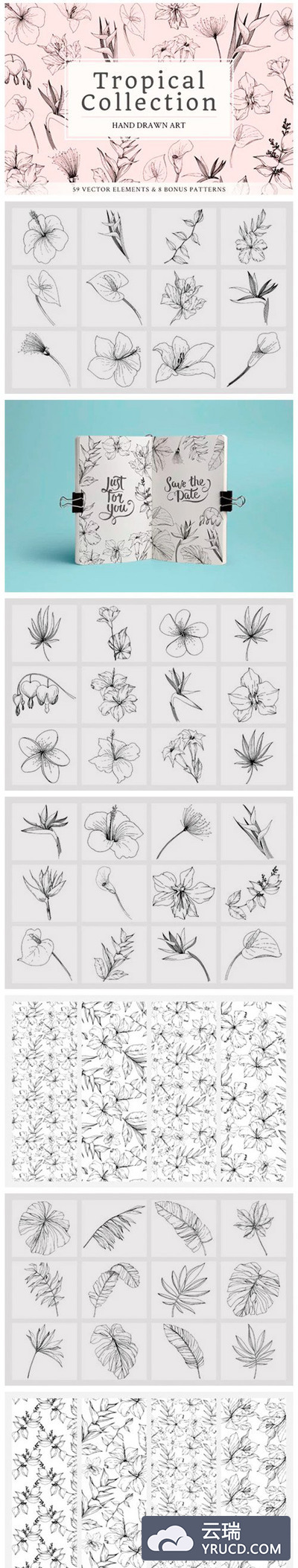 热带花卉&叶子矢量剪贴画设计素材