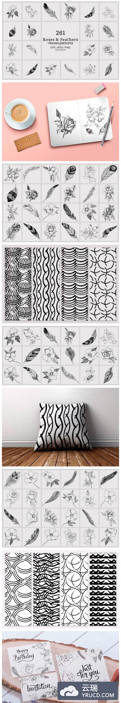 花卉&羽毛矢量水彩剪贴画素材