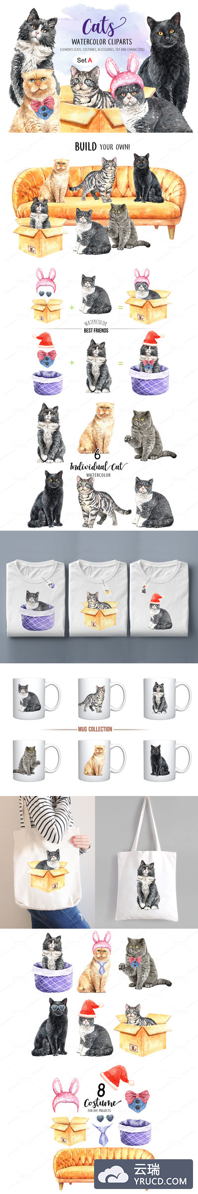 手绘水彩猫咪宠物插画套装