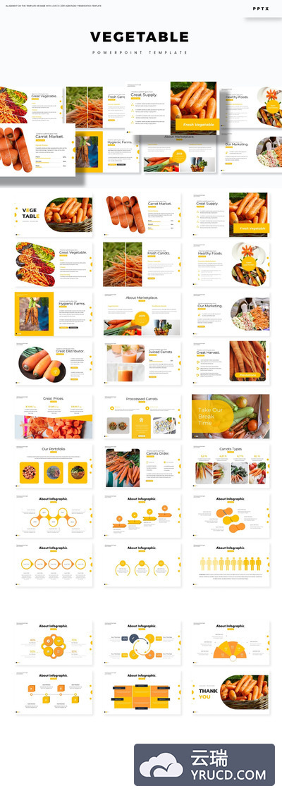 高品质的时尚清新蔬菜大数据powerpoint幻灯片演示模板（pptx）
