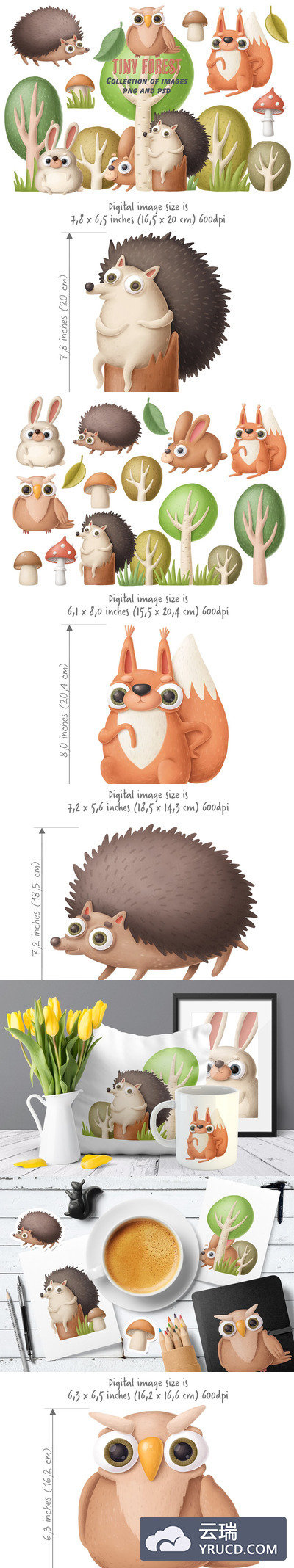 可爱的森林小动物卡通插画素材集