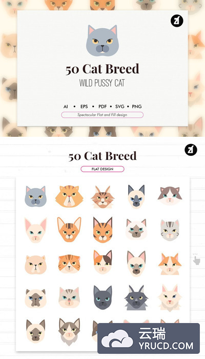 ICONS | 矢量50种可爱呆萌猫品种元素头像插图图标