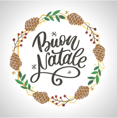 圣诞节花环元素插画