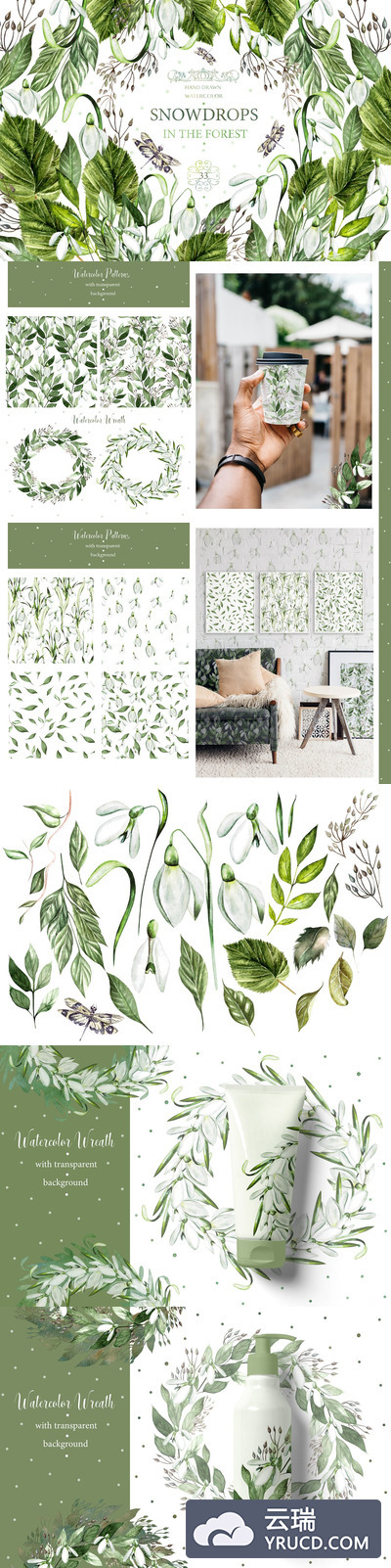 春天雪花莲水彩花卉插画设计素材