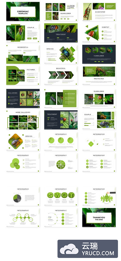 绿植植物类PPT模板下载[PPTX]