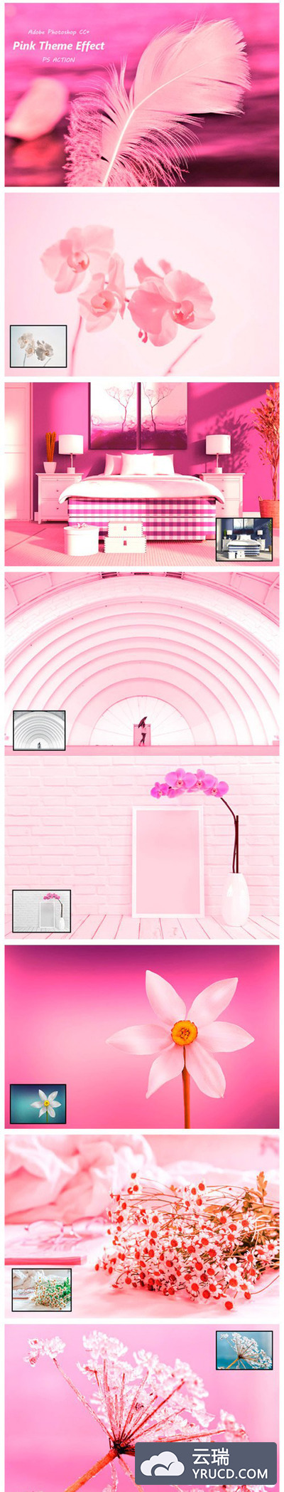 粉色主题效果照片调色PS动作