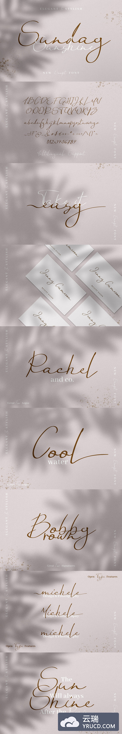 Fonts | 星期日阳光优雅现代温柔连笔手写脚本英文无衬线字体
