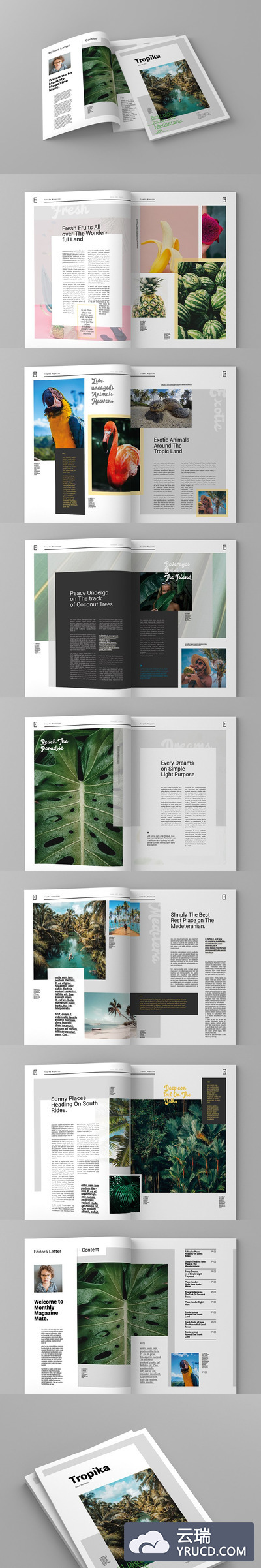 热带旅行摄影杂志画册模板