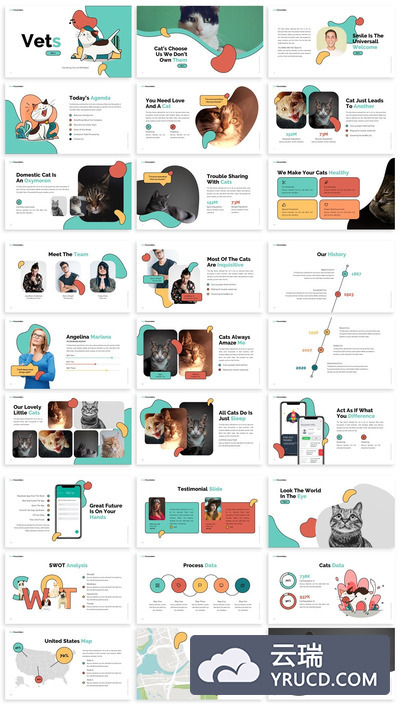 兽医-宠物内容风格的PPT模板下载[PPTX]