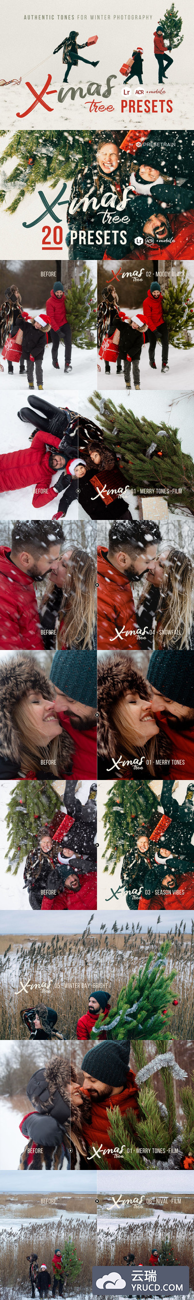 时尚高端优雅冬季圣诞节摄影预设滤镜