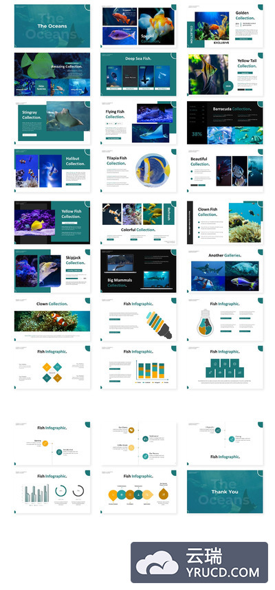 优秀的多功能商业计划书PPT模板下载[PPTX]