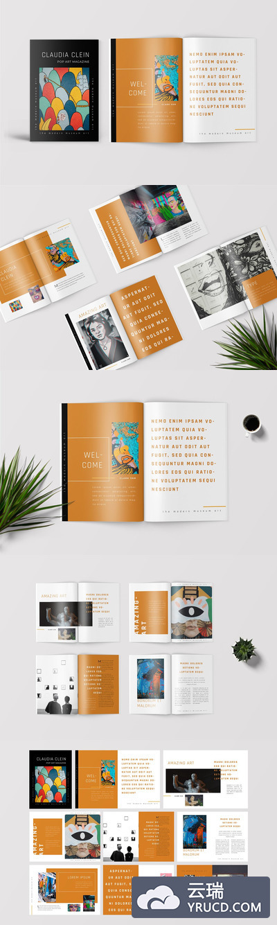 高品质的波普艺术杂志画册设计模板