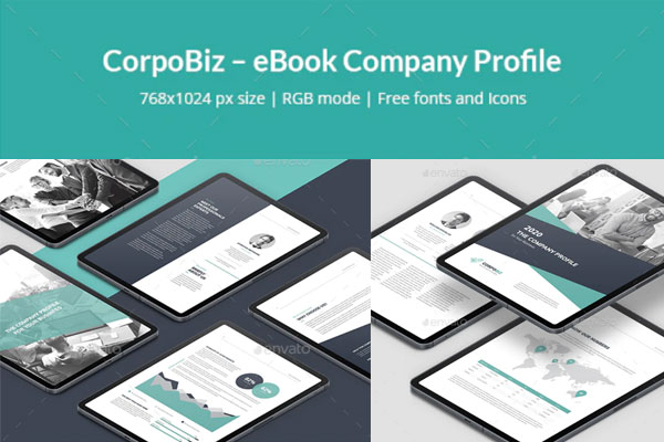 商业和企业电子书公司简介模板