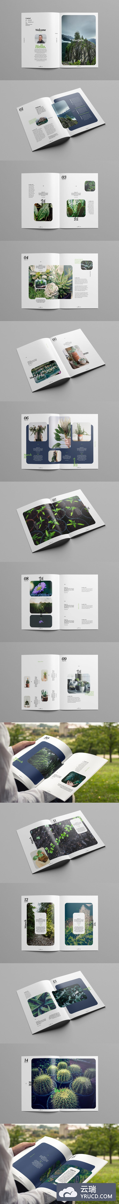 多用途简洁创意杂志模板下载