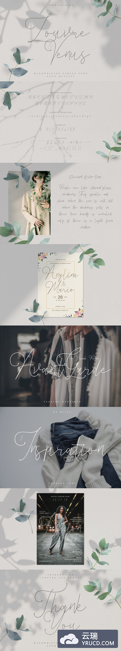 Fonts | 卢浮宫维纳斯请柬贺卡明星片情人节连笔衬线浪漫签名英文字体