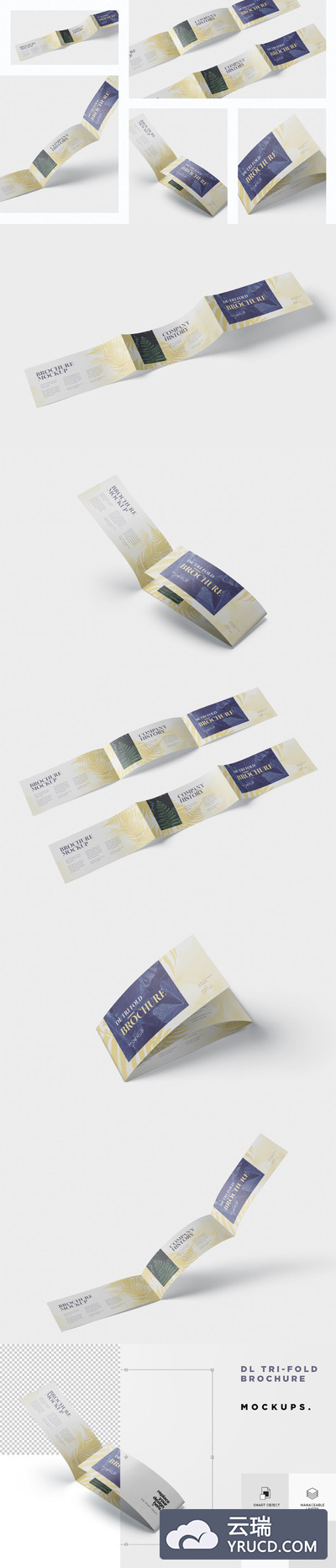 Mockups | 5个PSD文件黄色印花撞色印刷品牌广告设计三折小册子模型样机