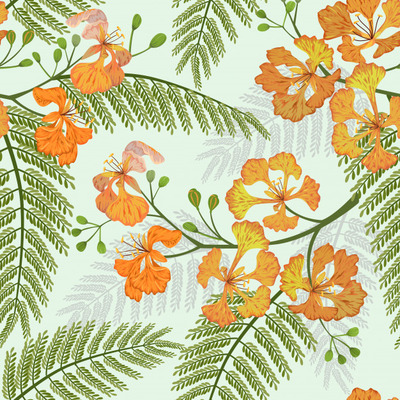 优雅孔雀花无缝图案背景