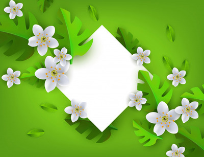 热带的绿叶花卉框架背景