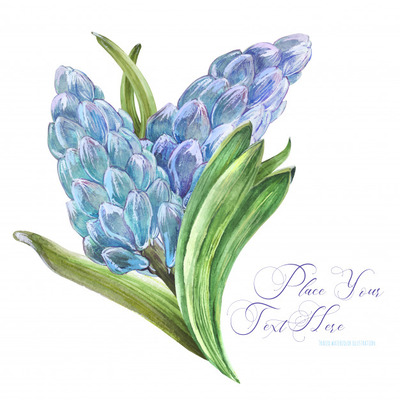 淡雅春季水彩花束插画