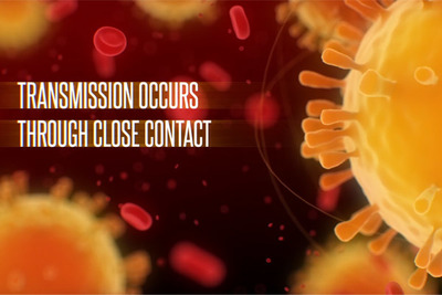 冠状病毒视频制作模板