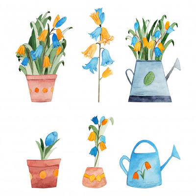 水彩春季花园花卉植物插画
