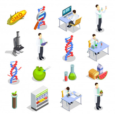 转基因生物等距图标 Genetically modified organisms isometric icons Vector