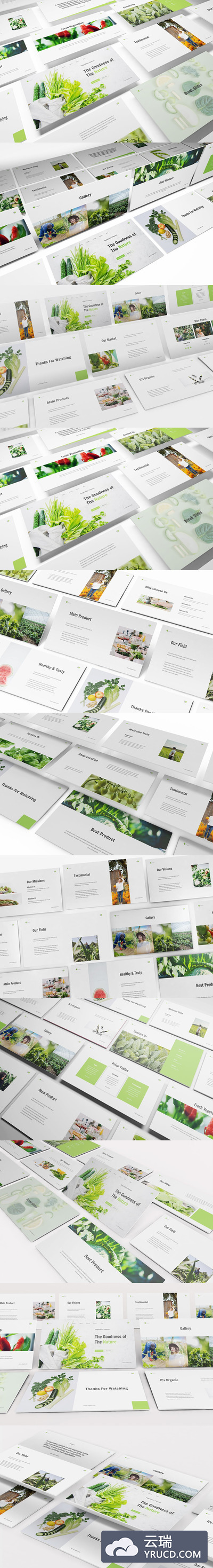 清新时尚绿色健康蔬菜水果主题的keynote幻灯片演示模板（key）