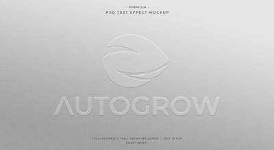 纸上浮雕文字效果logo展示样机