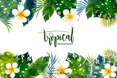 水彩热带花卉植物插画背景