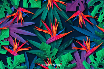 热带花卉植物自然插画背景