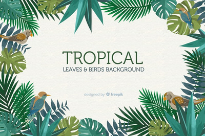 2D夏季热带树叶和鸟类插画背景