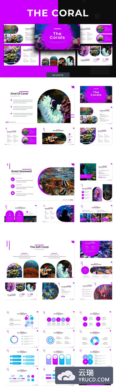 时尚高端绚丽珊瑚主题的keynote幻灯片演示模板（key）