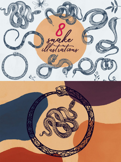 少见稀有的蛇插画插图集合
