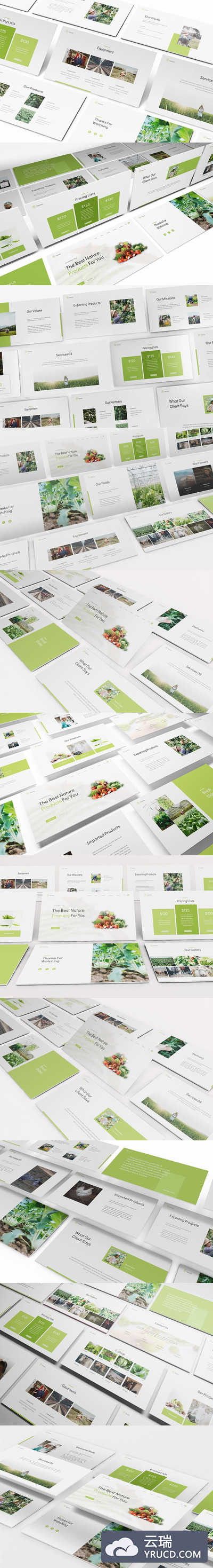 高端时尚清新简约绿色健康农业Google Slides谷歌幻灯片演示模板（pptx）