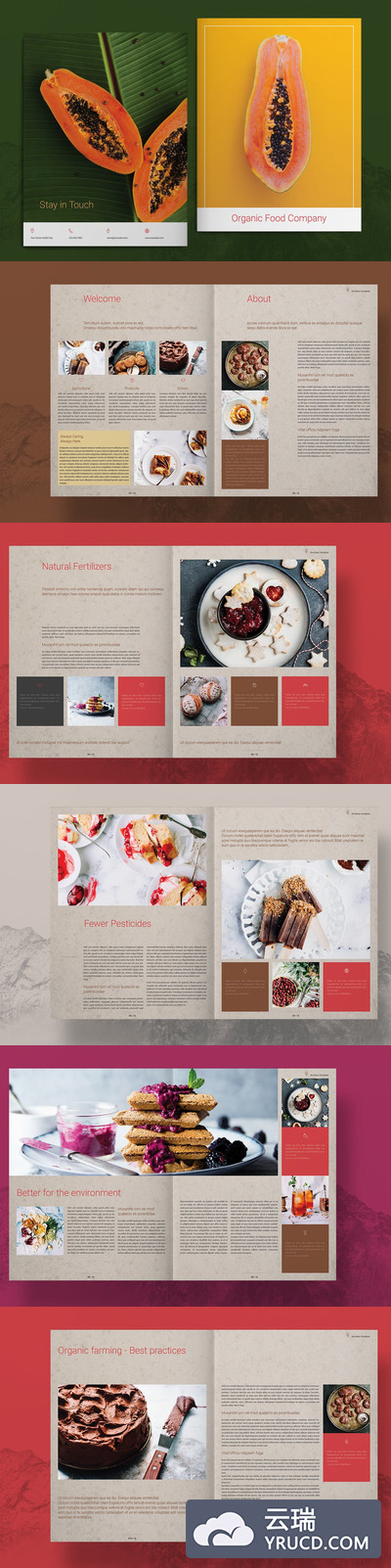 有机食品宣传册画册排版模板下载（indd）