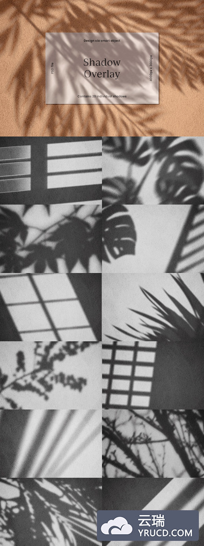 样机 | 高级高品质高端夏季逼真植物阴影模型集质感素材