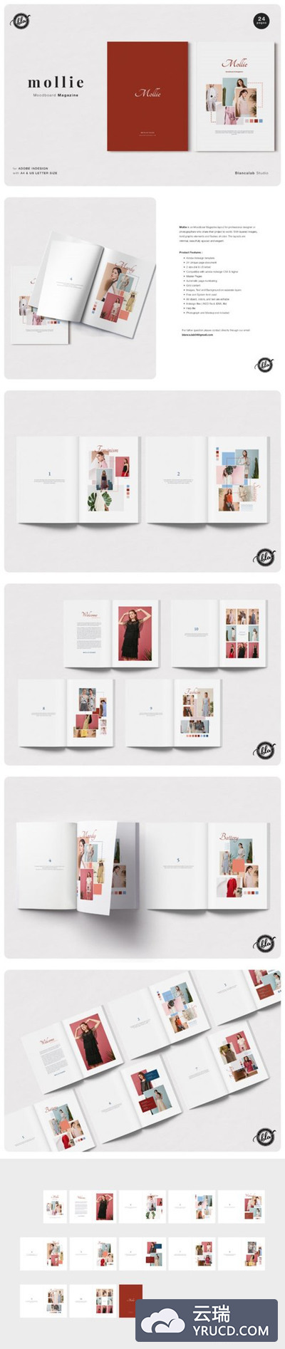 极简时尚风格情绪板杂志设计IINDD模板