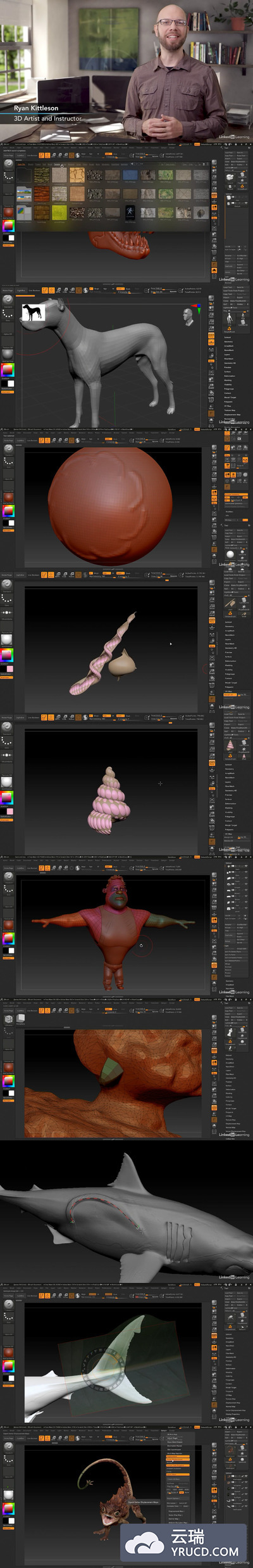 ZBrush 2020 基礎教程