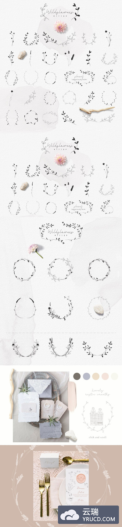 高端时尚优雅简约手绘植物花朵花纹纹理集合（AI，JPG，PNG，SVG，EPS）