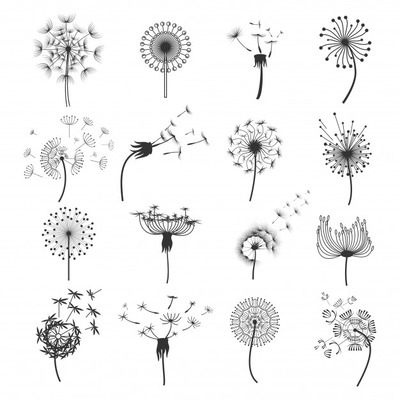 蒲公英在风中飞舞的插画集